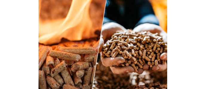  Pourquoi choisir le granulé ?